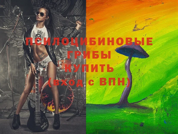 apvp Киреевск