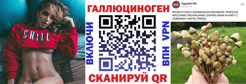 Галлюциногенные грибы мицелий  Купить  Багратионовск 